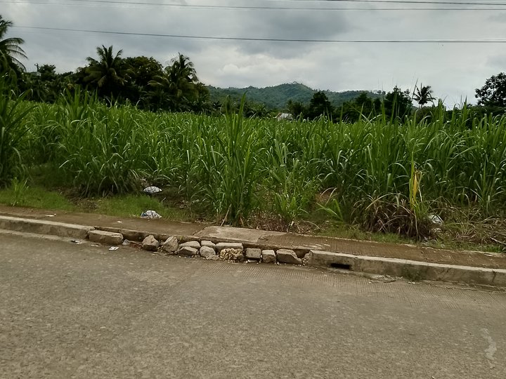 Commercial Lot Along National Highway Compostela, Cebu [Lots 🚜