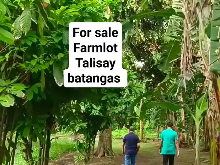 Farm lot talisay batangas for sale