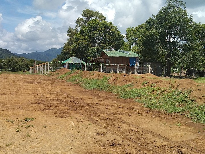 HULUGANG FARMLOT SA NASUGBU UP TO 12 MOS BASTA ME PDC ALL IN NA SA PRICE  LOW DP avail na