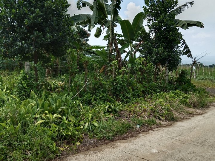 1,000 sqm Residential Farm For Sale