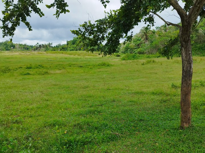 Farmlot for Sale in Bayawan!!