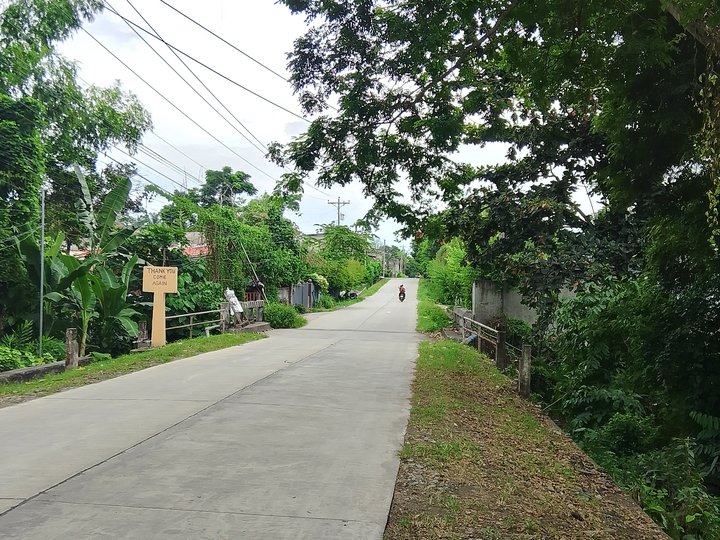 Lot for sale in Cantel-e Dumaguete City