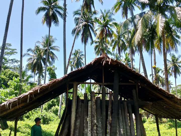 3.5 Hectares Agricultural Farm Lot (Barangay Loyola, Hinatuan Surigao del Sur)