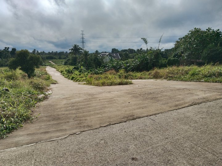 150sqm Residential - Farm Lot in Mendez Cavite