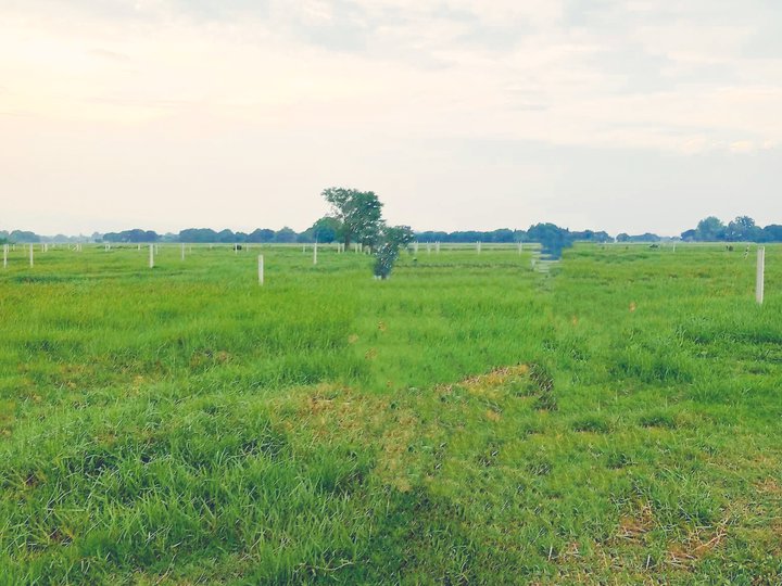 TITLED RESIDENTIAL FARM LOT IN LUBAO PAMPANGA, ZERO INTEREST