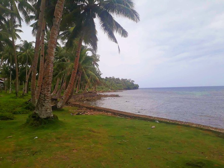 14759sqm Beachfront Property Siargao Surigao del Norte