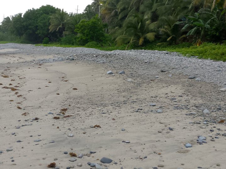 OVERLOOKING BEACH VIEW LOT