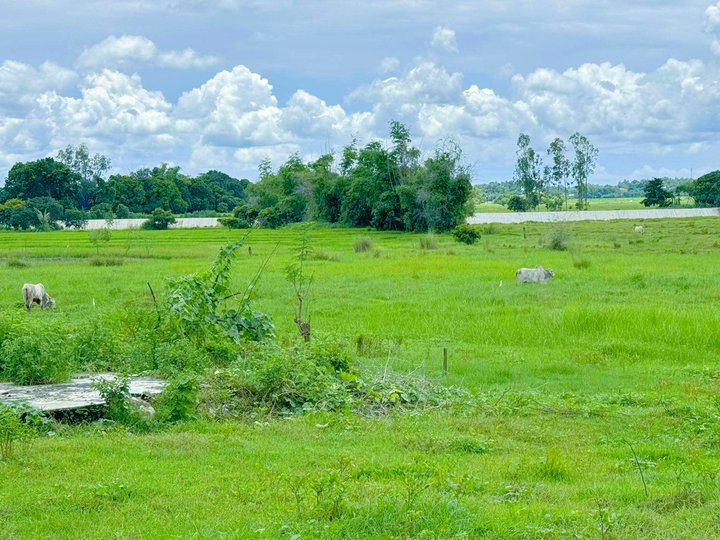 TITLED RESIDENTIAL LOT IN ALAMINOS PANGASINAN, FREE TRANSFER FEE, ZERO INTEREST