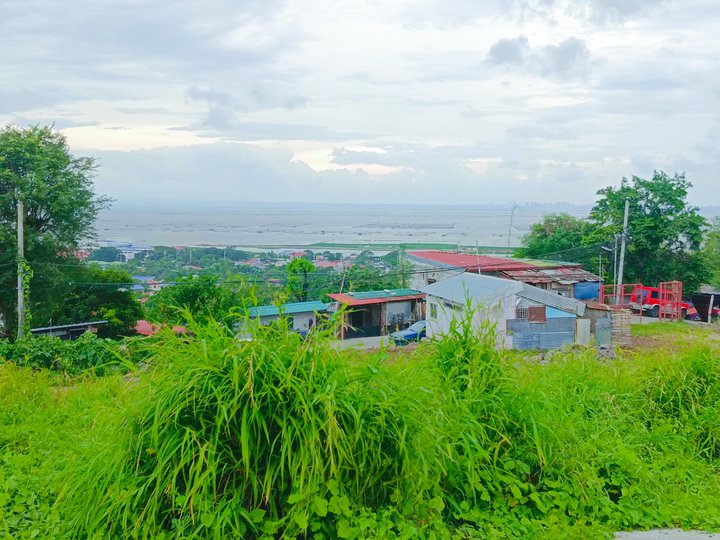 RESIDENTIAL LOT FOR SALE- ONGOING DEVELOPMENT @DARANGAN BINANGONAN RIZAL, OVERLOOKING LAGUNA LAKE