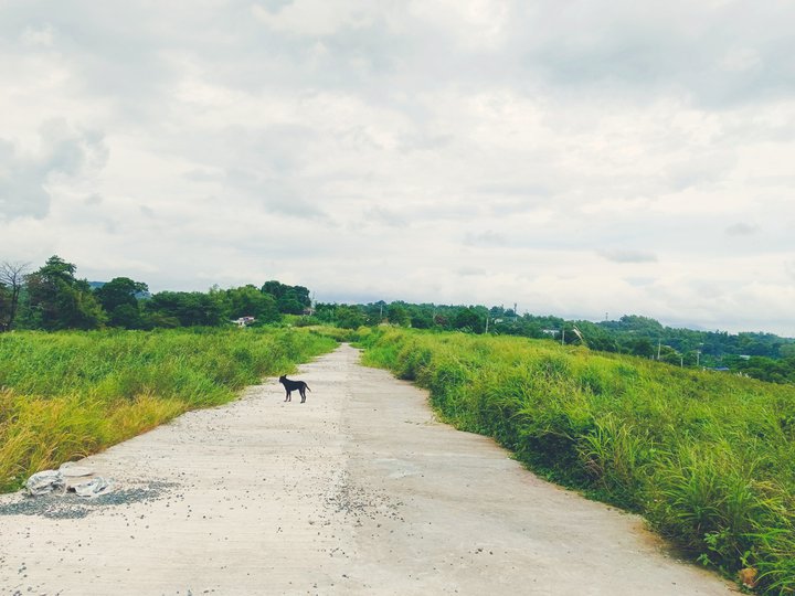 RESIDENTIAL LOT FOR SALE ONGOING DEVELOPMENT IN DARANGAN BINANGONAN