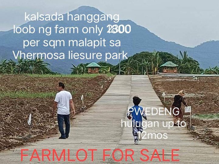 30% DOWN PAYMENT DIRECT SA OWNER HULUGAN CEMENTED ROAD HANGGANG LOOB NG FARM 12 MOS TO PAY ZERO INT