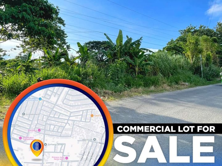 1000 SQM Commercial Property for Sale in Tagum City