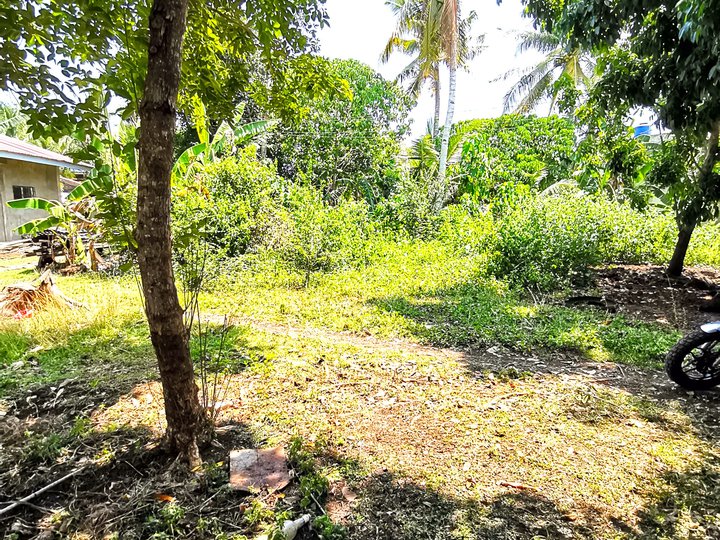 Lot near Dumaluan white beach and commercial areas in Panglao