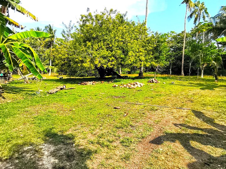 Cheap land in Tawala Panglao near International Airport