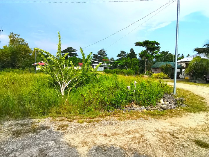 Corner Lot in Tawala Panglao Cheap price near airport