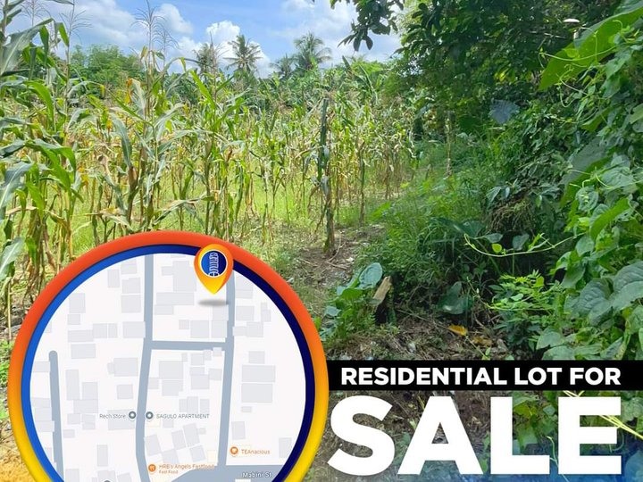 8,230 sqm Residential Lot For Sale in Tagum Davao Del Norte