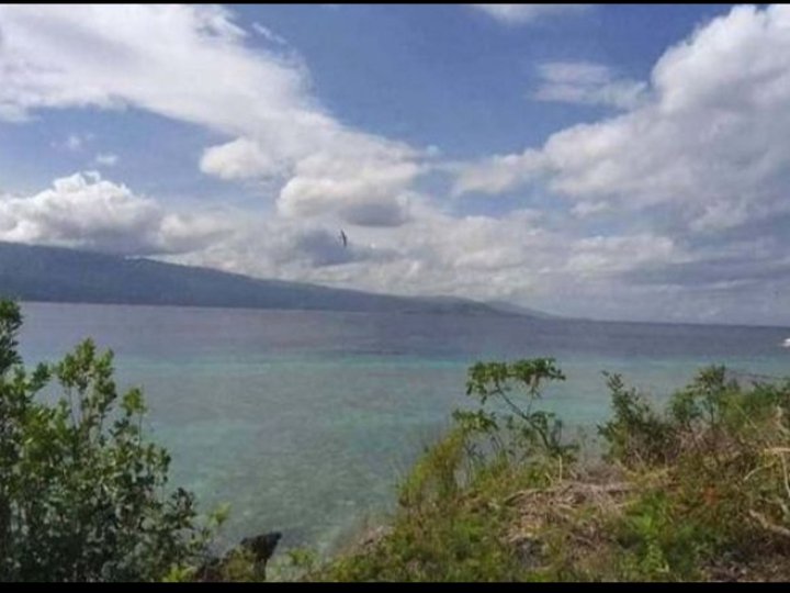 900 sqm Raw Land For Sale in Moalboal Cebu