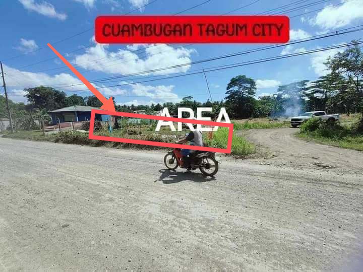 Commercial Property For Sale in Cuambogan Tagum Davao Del Norte