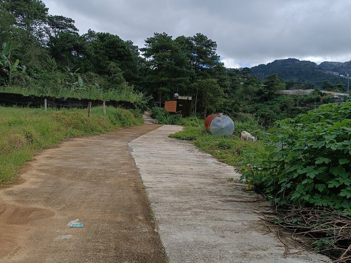 100 sqm Residential Lot For Sale in Baguio Benguet