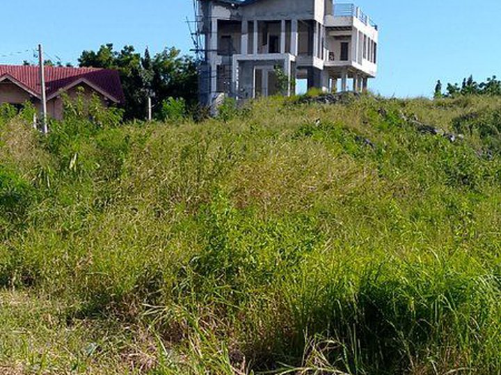 Pelican Cliff overlooking lot for sale in Binangonan Rizal