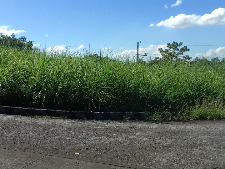 274 sqm Residential Lot For Sale in Colinas Verdes San Jose Del Monte Bulacan