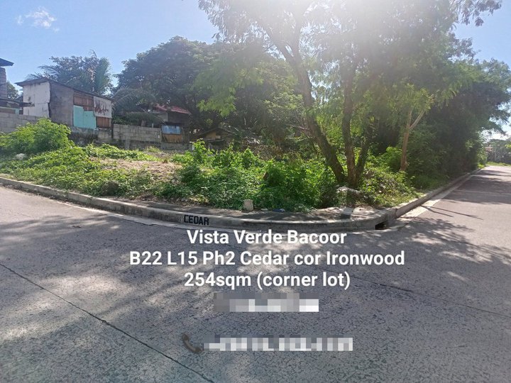 254 sqm Residential Lot For Sale in Bacoor Cavite