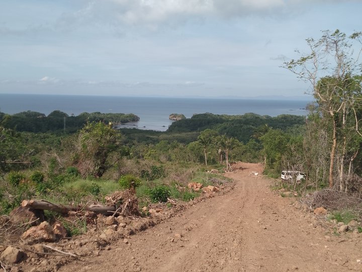 Overlooking Seaview Farm Lot in Nueva Valencia Guimaras (2Yrs to Pay)