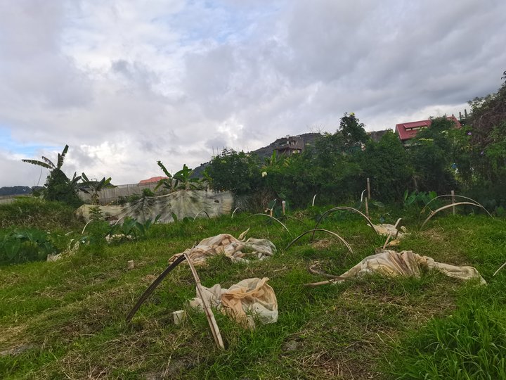 Titled lot in Toyong, Pico, La Trinidad, Benguet near strawberry farm