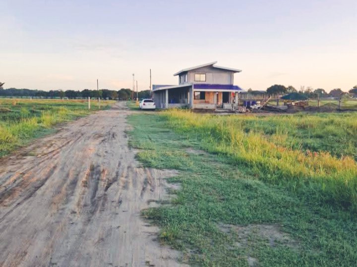 TITLED RESIDENTIAL  FARM LOT IN LUBAO PAMPANGA,FREE TRANSFER OF TITLE