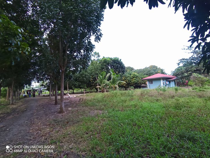 Farm Lot Property with Piggery in Salao Rosario Batangas