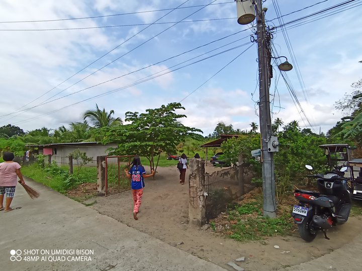 1 hec. lot coconut tree farm in Salao Rosario Batangas