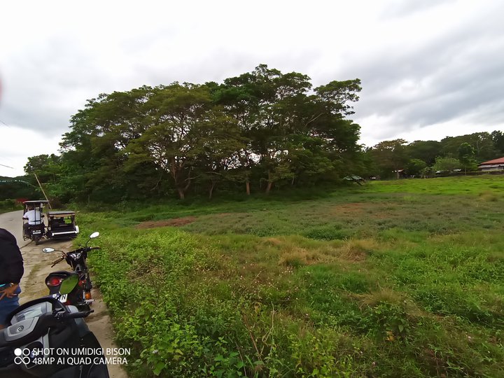 8078sqm lot Property in Salao Rosario Batangas