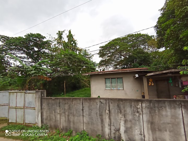 Residential Farm lot in Salao Rosario Batangas