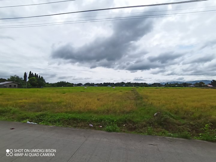 A Rice Field lot 6.5hec in Salao Batangas