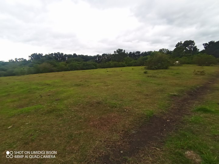 1hec. vacant lot in San Isidro Rosario Batangas