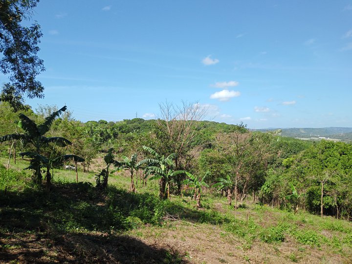 150 sqm Residential Farm For Sale in Tanay Rizal