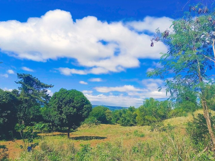 TITLED FARM LOT IN BARAS RIZAL - DIRECT TO OWNER, MINIMUM CUT 1000 SQM