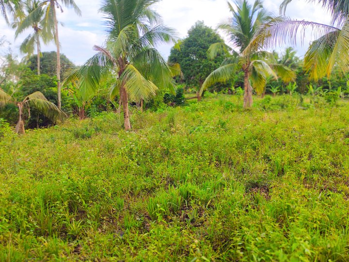 Lot for Sale Silang Cavite