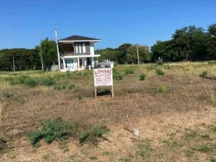 230 sqm Residential/Beachfront Lot For Sale in San Juan Batangas