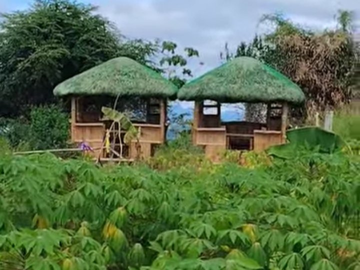 Hulugang lupa sa morong rizal