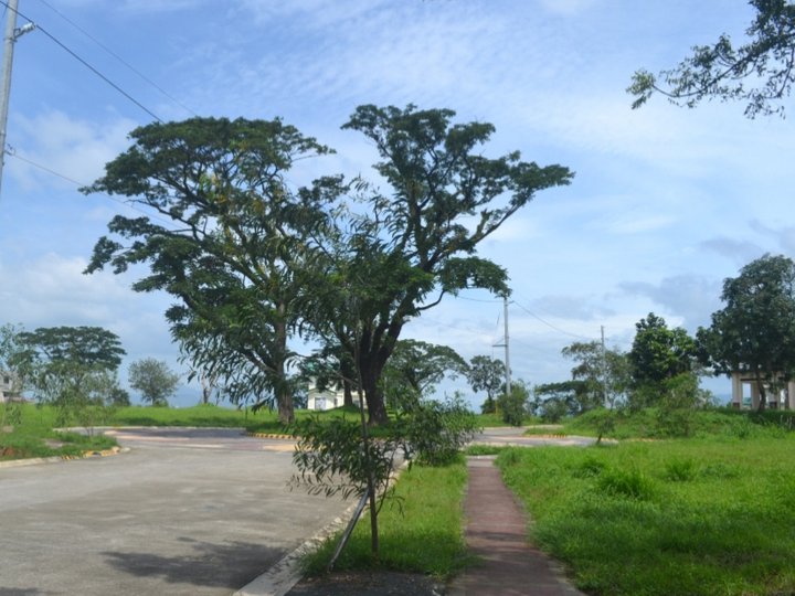 Prime Lot near amenity area facing east