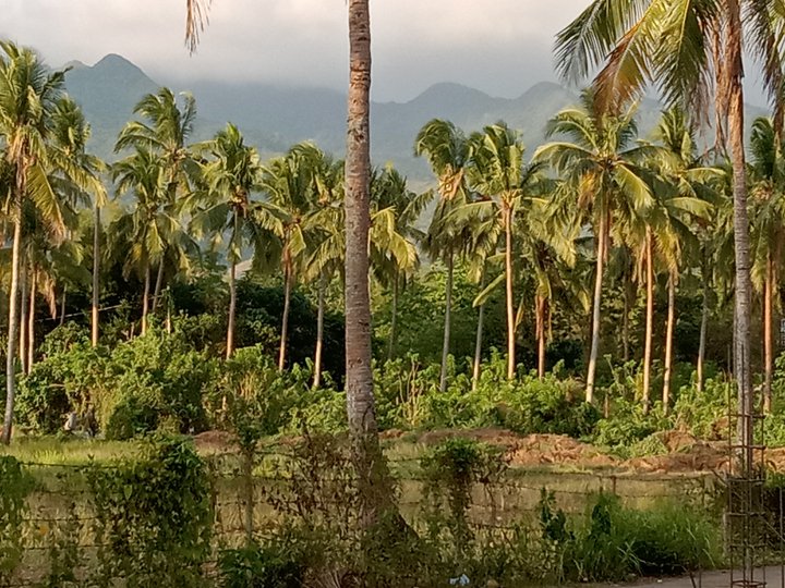 Lipa Land with Mountain Views - 12000sqm Residential Zoned Lot - 120m PHP