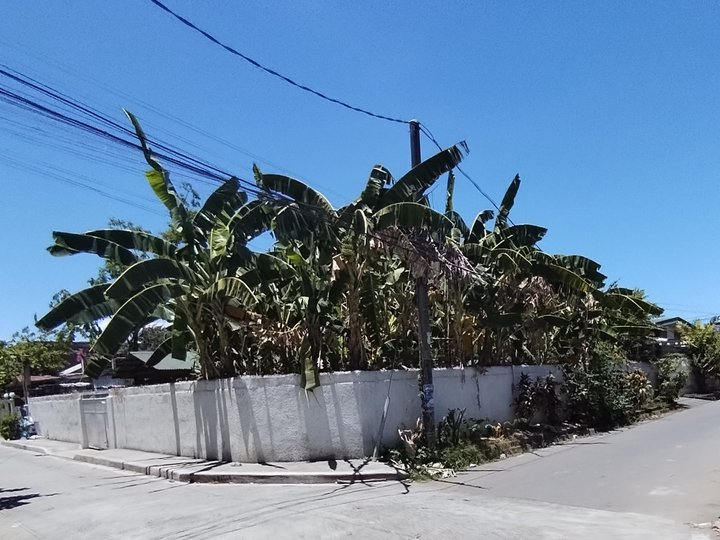 Residential Lot in Vergonville Las Pinas