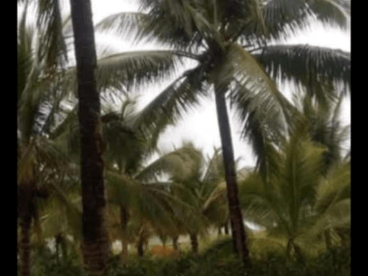 Good investment and income generating farm