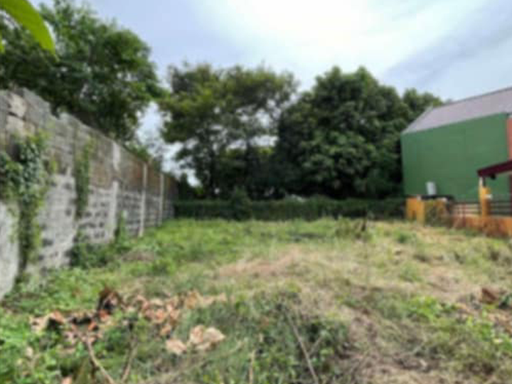 173 sqm Residential Lot For Sale in Antipolo Rizal