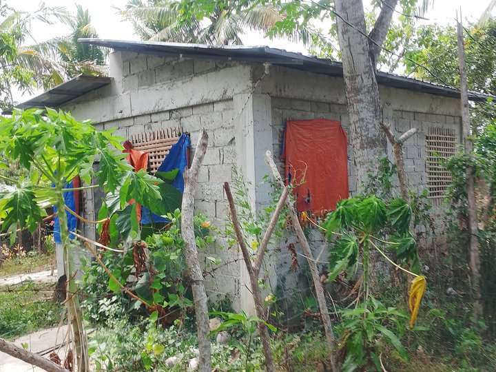 House and lot for sale