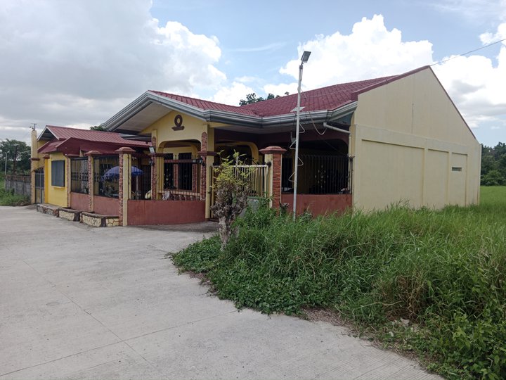 House for sale near Philippine Arena