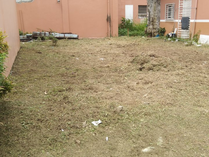 66 Sqm Residential Lot for Sale in Bay Laguna