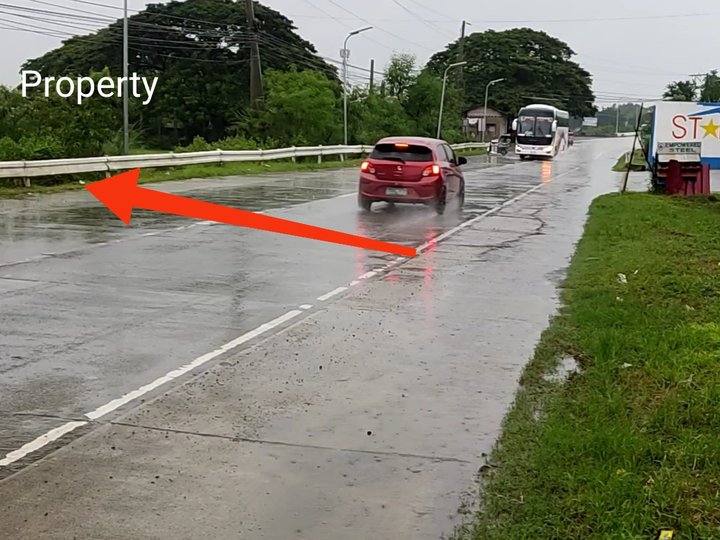 8.25 HECTARES Farm Lot for sale in Rosales Pangasinan.Along busy road /Main road 150 meters Frontage