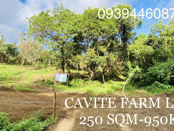 Gated Residential Farm Lot! Free Transfer of TItle! 250 Sq.m.